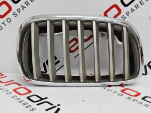 BMW X5 RH Right Passenger Side Grille 2007 2012 51137171396 A254 X5